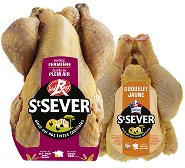 Pintade et coquelet jaune - St Sever